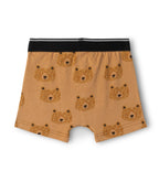 Brown Bear Print Kids Boys Cotton Trunks