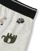 Woodland Animal Print Kids Boys Cotton Trunks