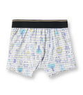 Animal Printed Striped Kids Boys Cotton Trunks