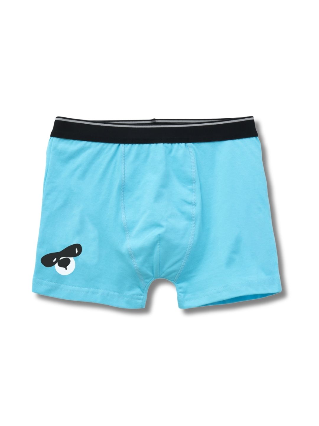 Sky Blue Cool Dog Face Peekaboo Boys Trunks