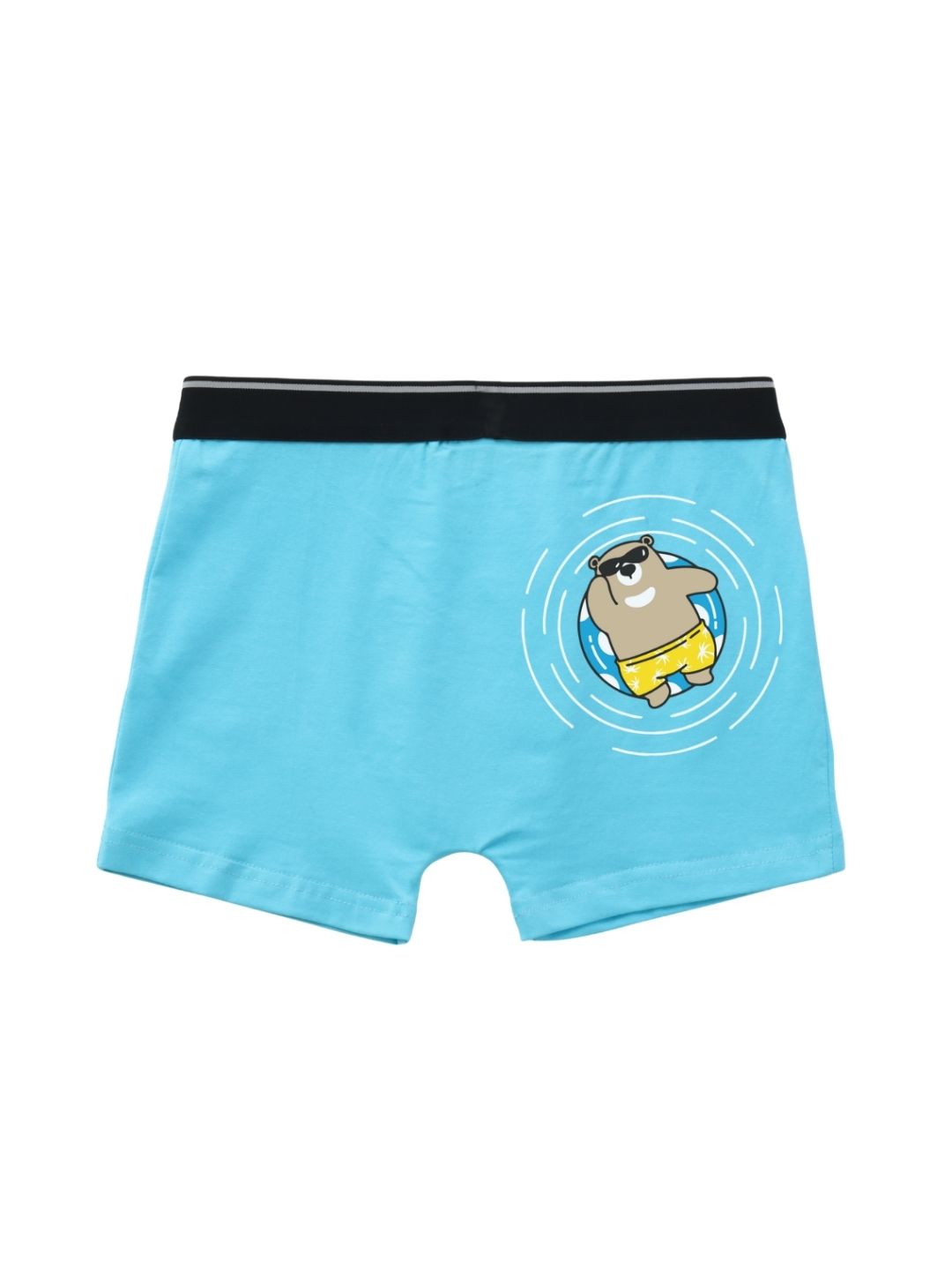 Sky Blue Cool Dog Face Peekaboo Boys Trunks
