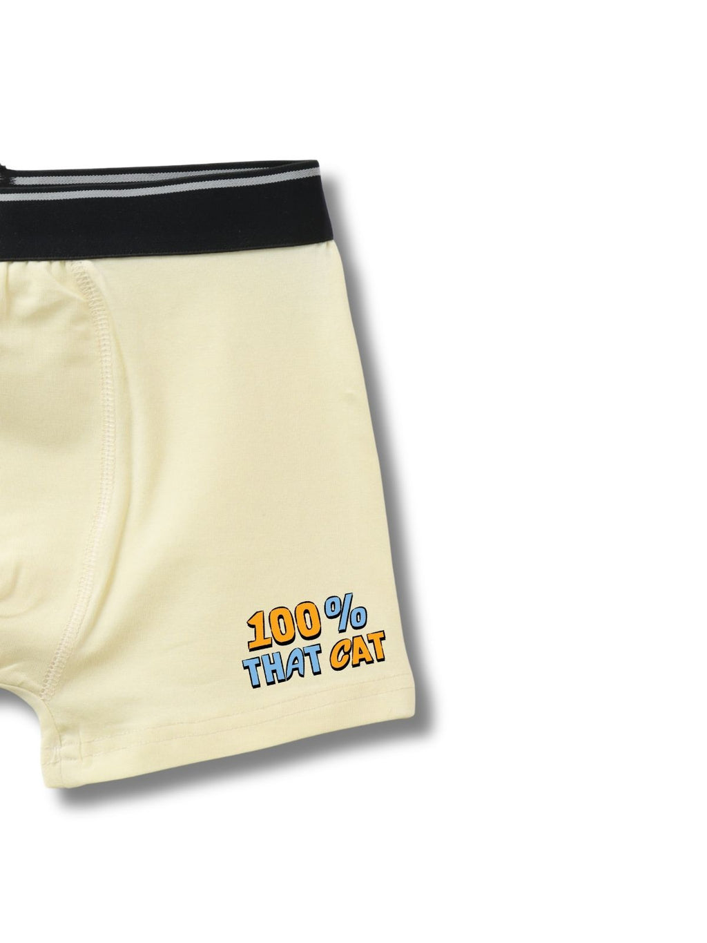 100% That Cat Kids Boys Trunks - Garfield©