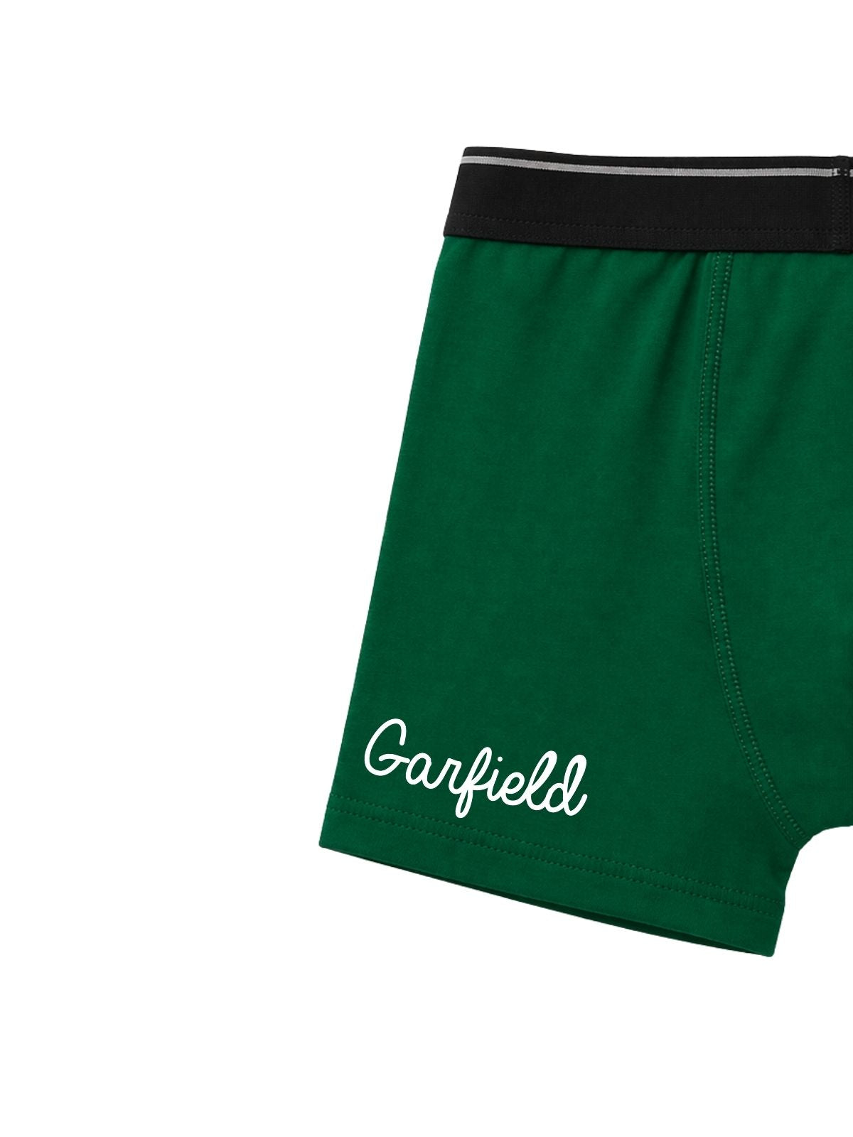 Classic Pose Kids Boys Trunks - Garfield©