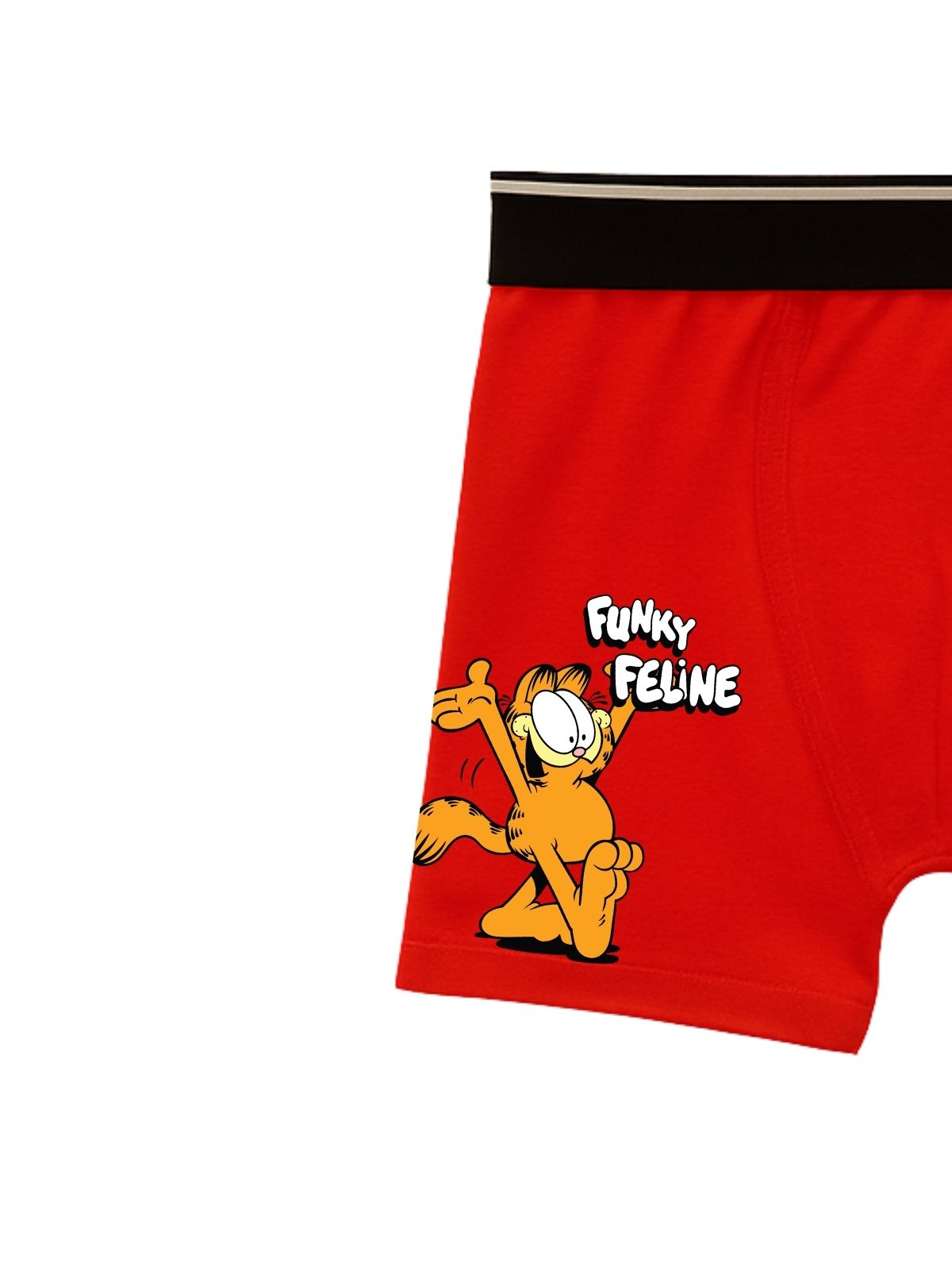Funky Feline Kids Boys Trunks - Garfield©