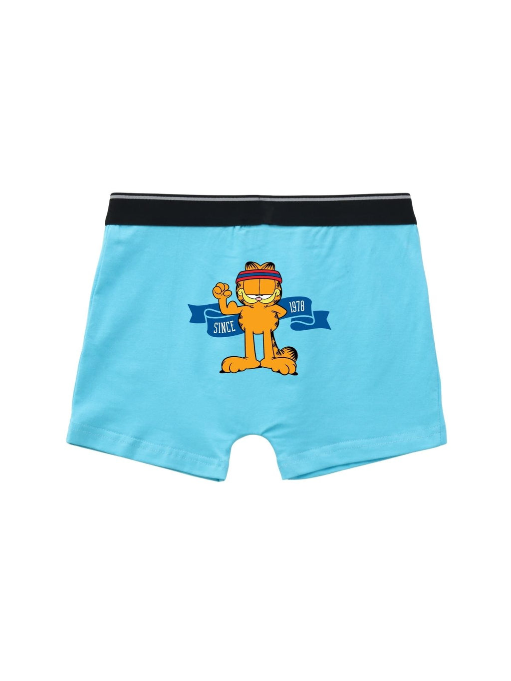 Garfield Flag Kids Boys Trunks - Garfield©