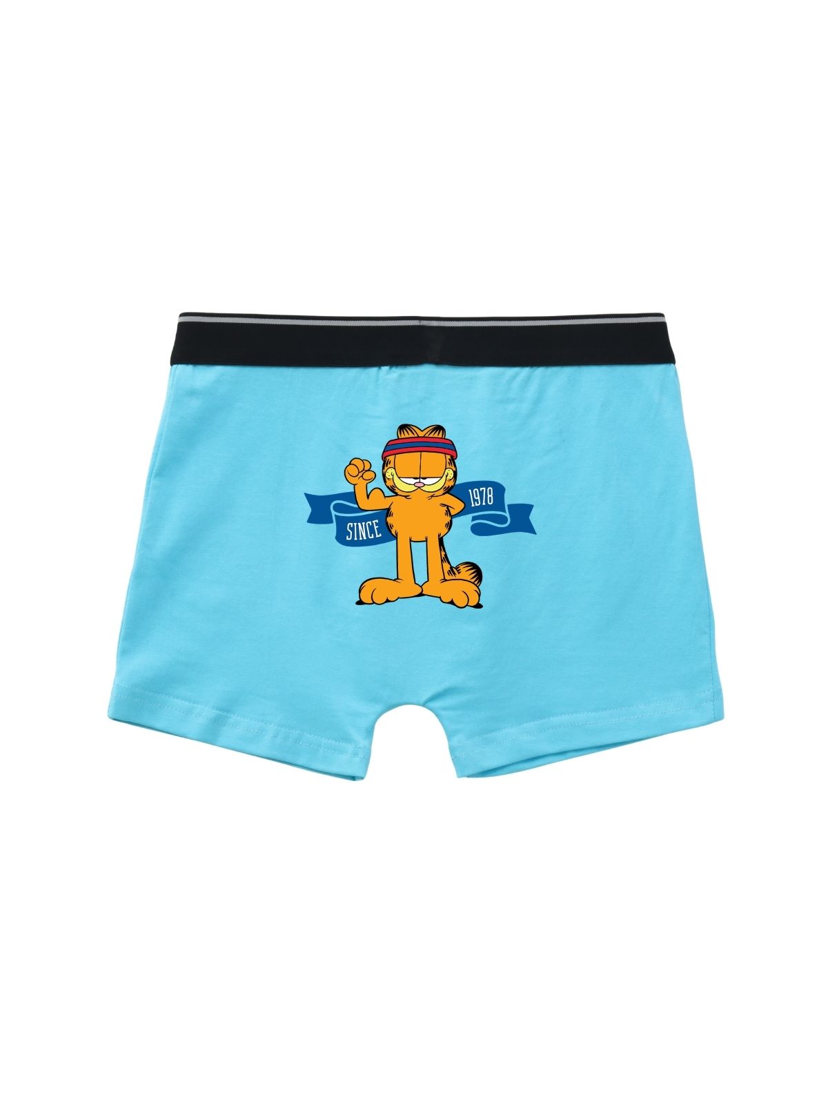 Garfield Flag Kids Boys Trunks - Garfield©
