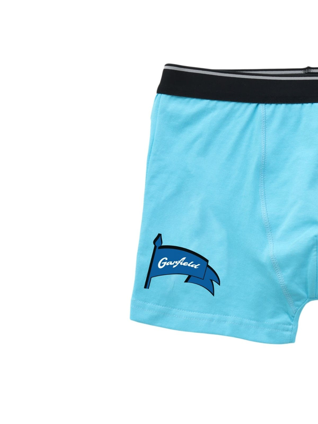 Garfield Flag Kids Boys Trunks - Garfield©