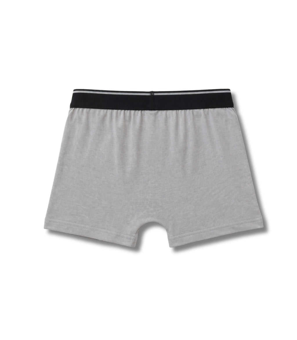 Grey Garfield Sleeping Moon Nap Time Boys Trunks