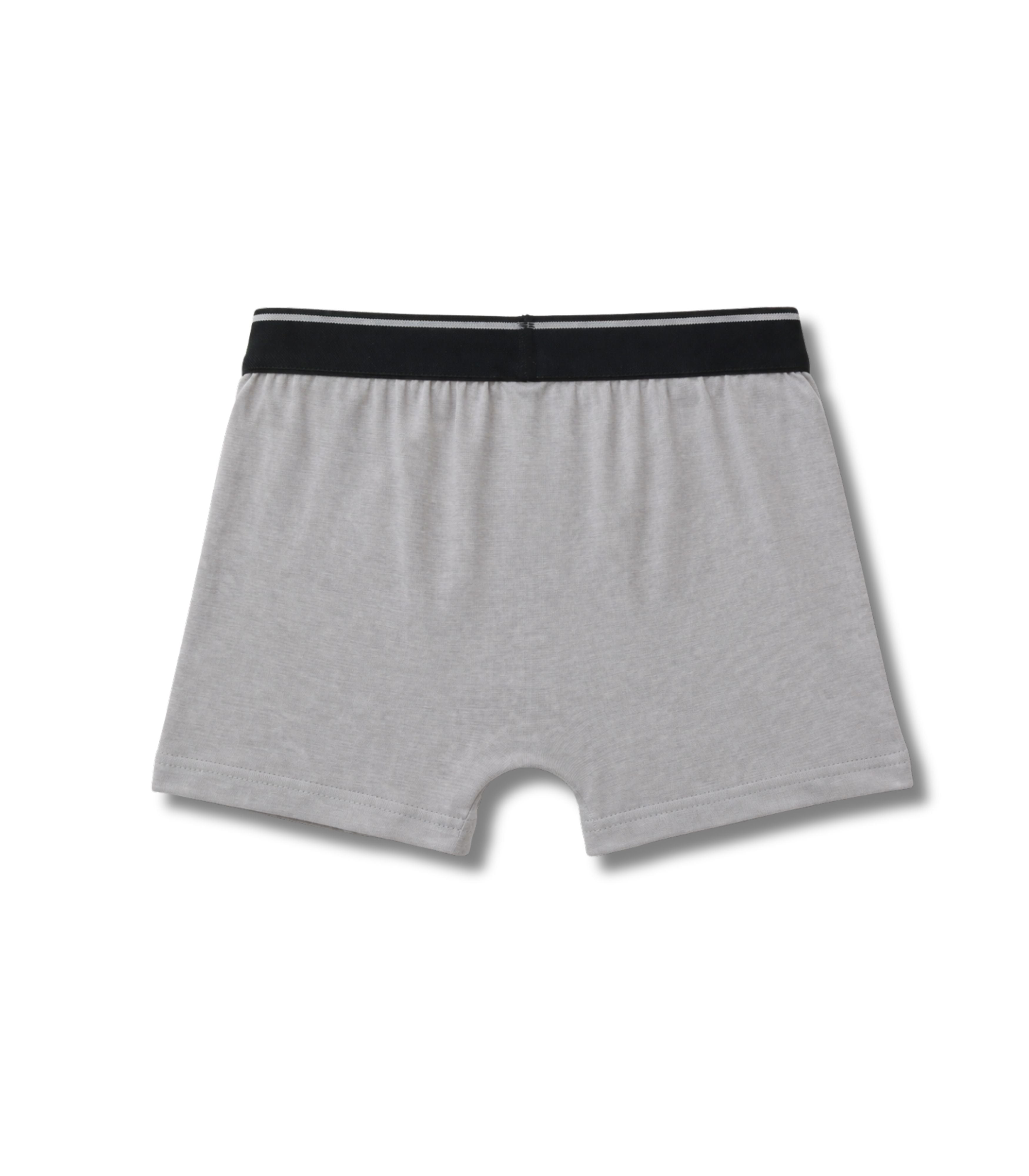 Grey Garfield Sleeping Moon Nap Time Boys Trunks