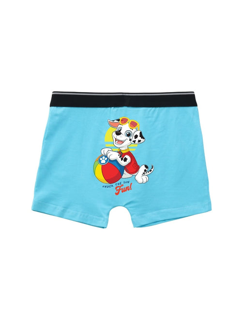 Beach Ball Kids Boys Trunks - Paw Patrol©