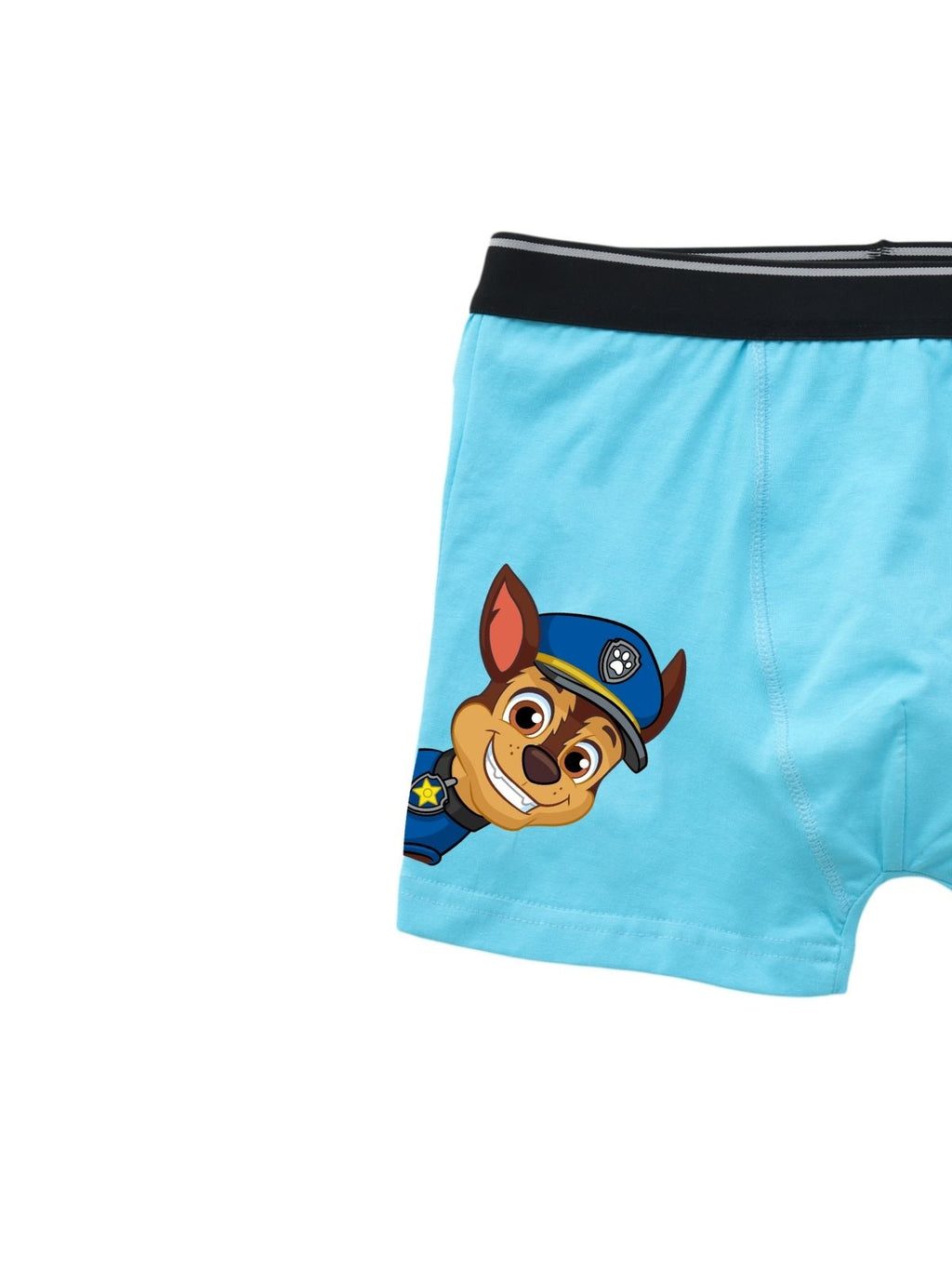 Chill In Kids Boys Trunks - Paw Patrol©