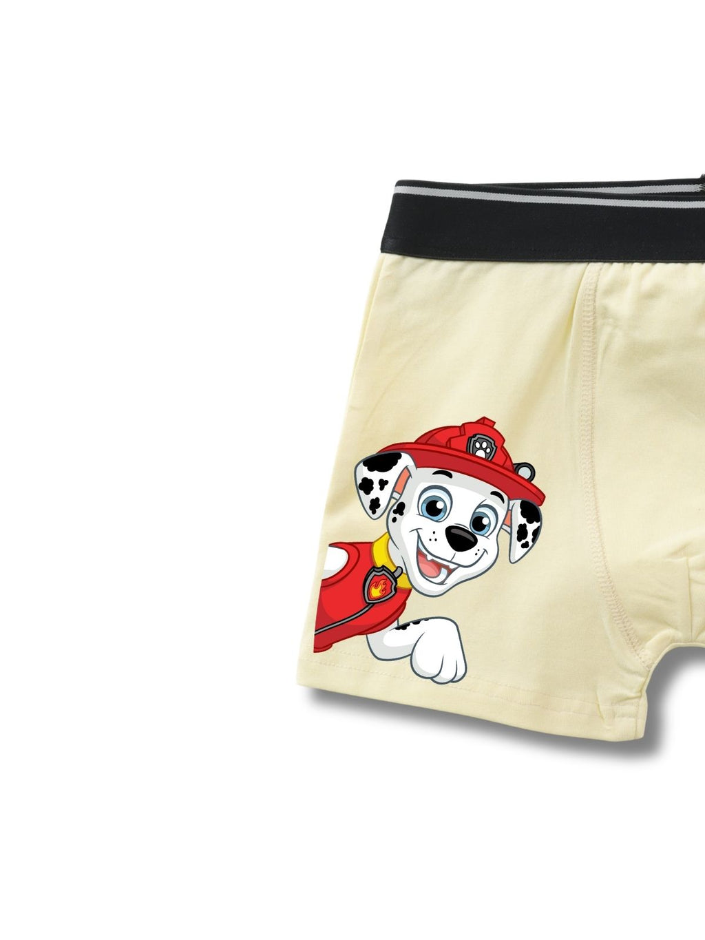 Marshall Kids Boys Trunks - Paw Patrol©
