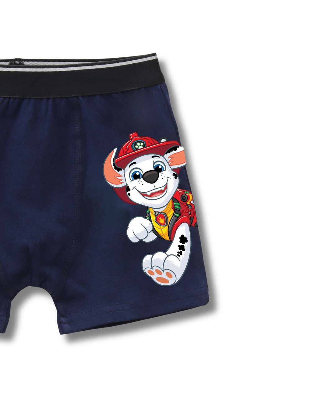 Happy Marshall Kids Boys Trunks – PAW Patrol Dino Movie©