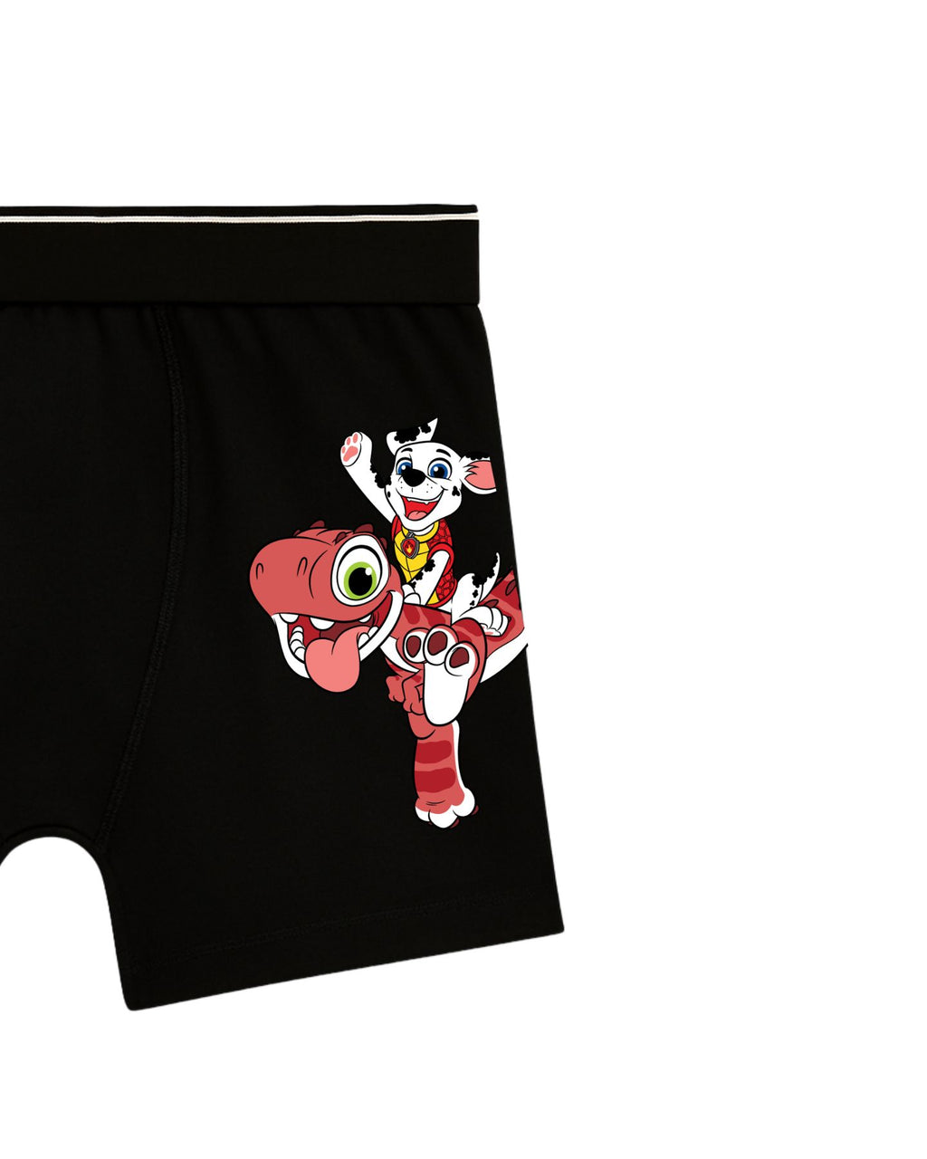 Marshall Dino Ride Kids Boys Trunks – PAW Patrol Dino Movie©