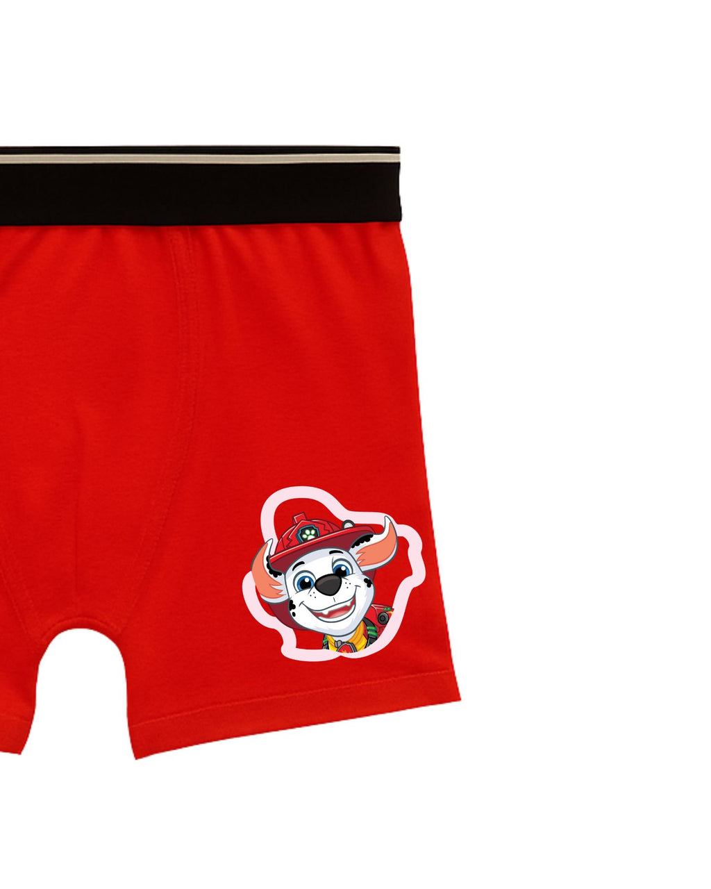 Brave Marshall Kids Boys Trunks – PAW Patrol Dino Movie©
