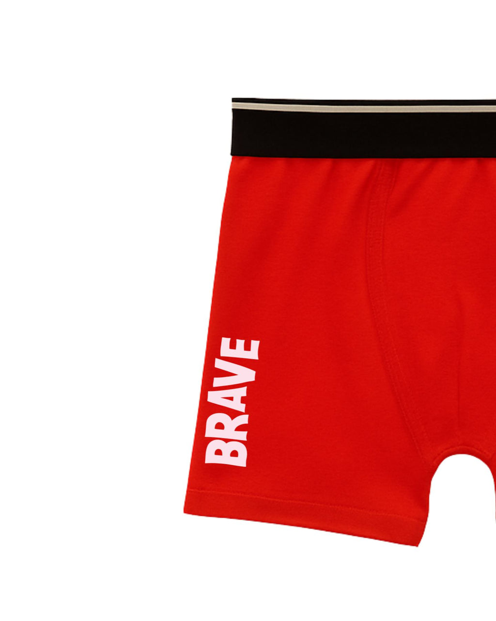 Brave Marshall Kids Boys Trunks – PAW Patrol Dino Movie©