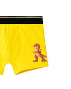 Dino Expert Adventure Kids Boys Trunks – PAW Patrol Dino Movie©