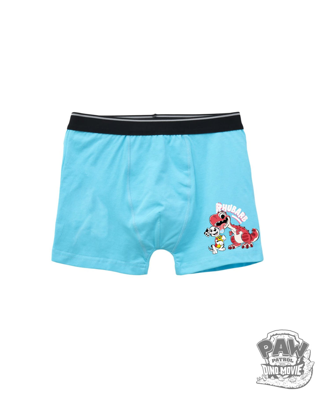 Rubble & Rex Friends Kids Boys Trunks – PAW Patrol Dino Movie©