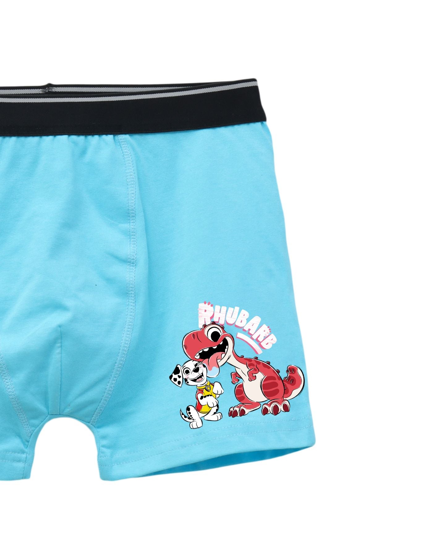 Rubble & Rex Friends Kids Boys Trunks – PAW Patrol Dino Movie©