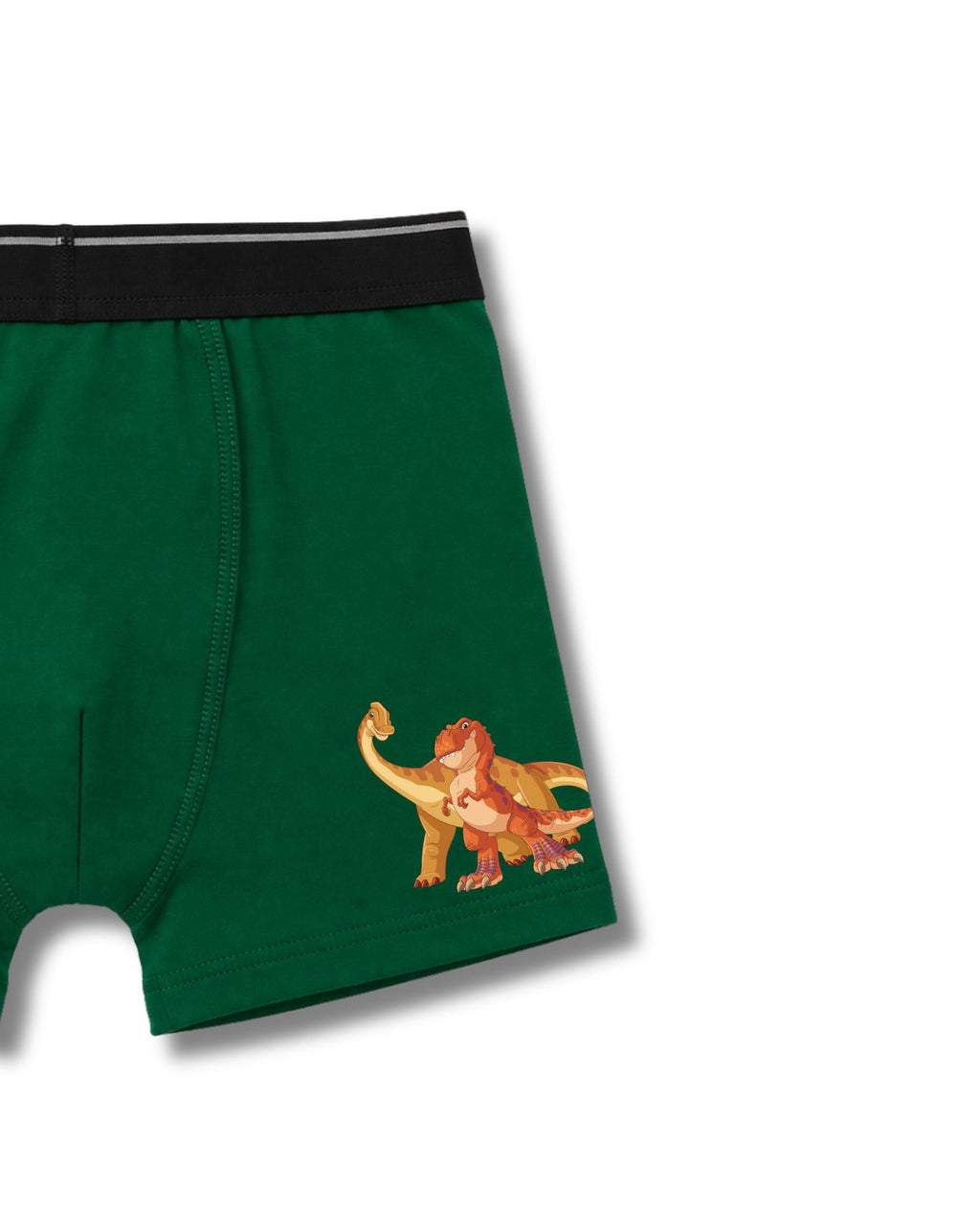 Marshall & Dino AOP Kids Boys Trunks – PAW Patrol Dino Movie©