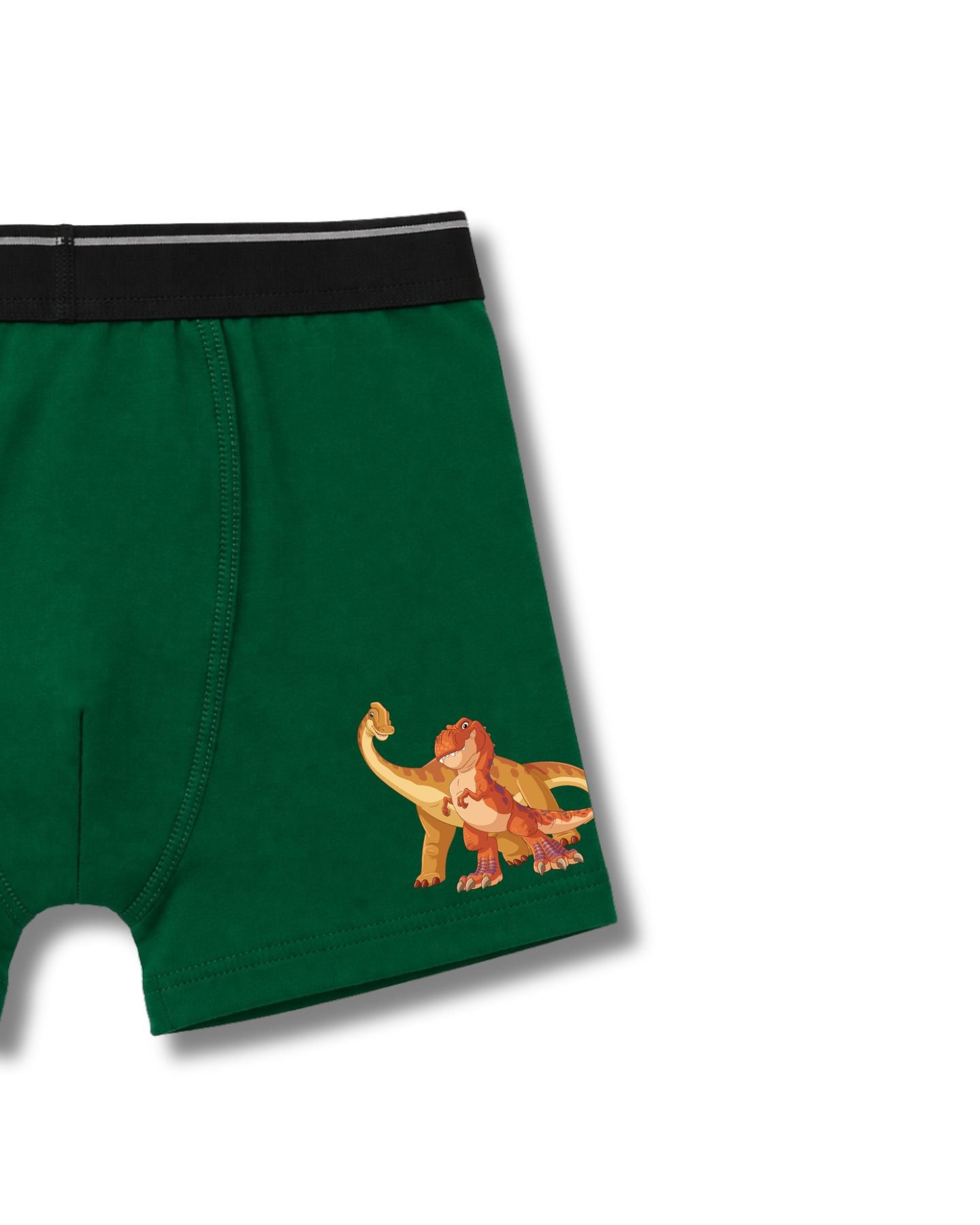 Marshall & Dino AOP Kids Boys Trunks – PAW Patrol Dino Movie©