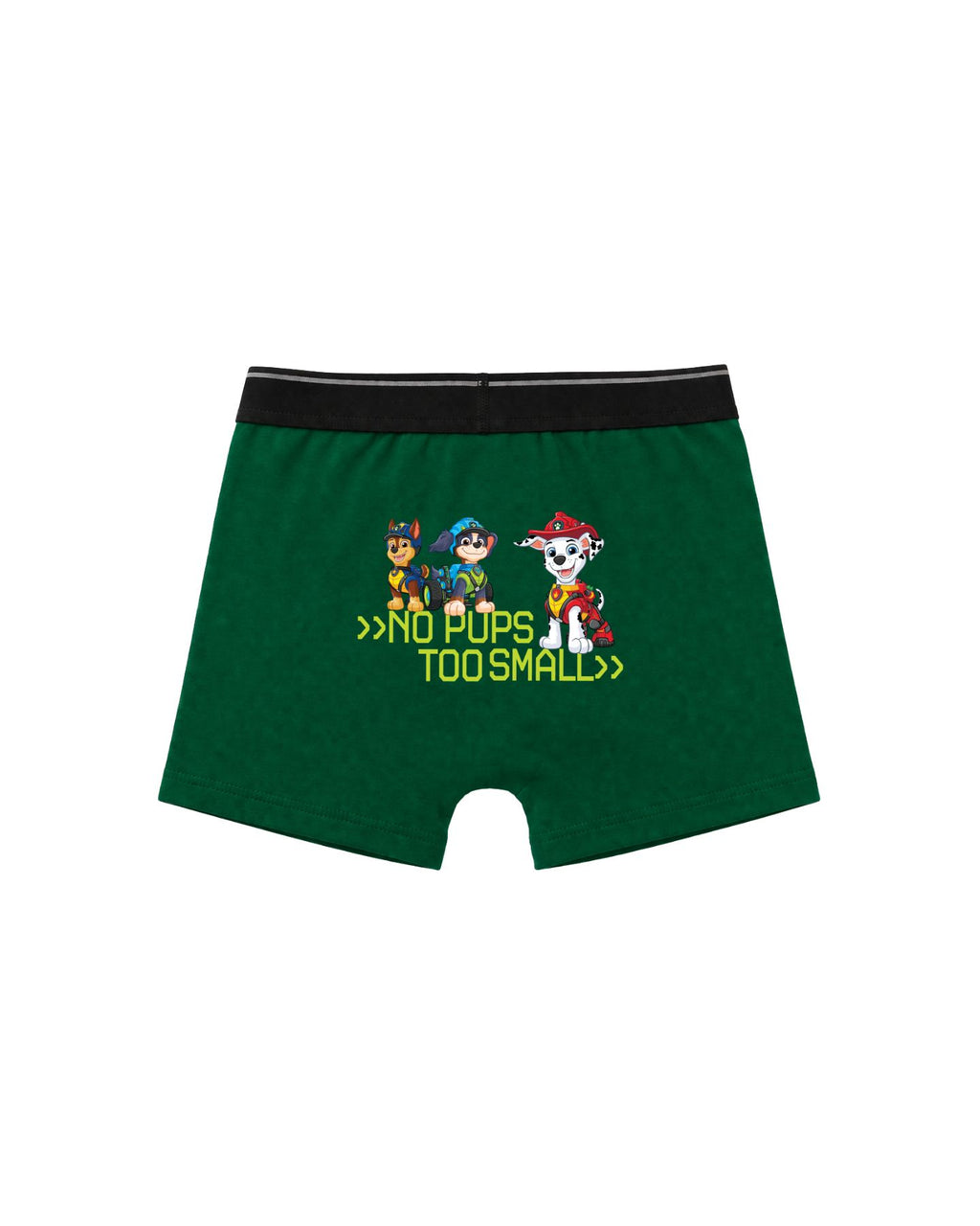 Marshall & Dino AOP Kids Boys Trunks – PAW Patrol Dino Movie©