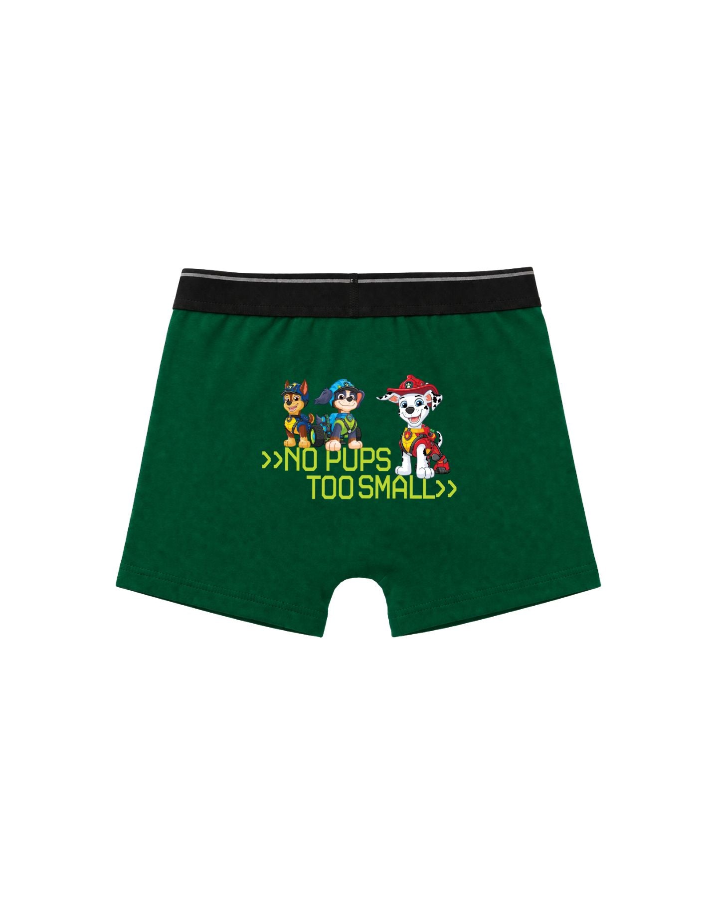 Marshall & Dino AOP Kids Boys Trunks – PAW Patrol Dino Movie©