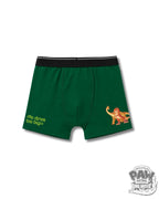 Marshall & Dino AOP Kids Boys Trunks – PAW Patrol Dino Movie©