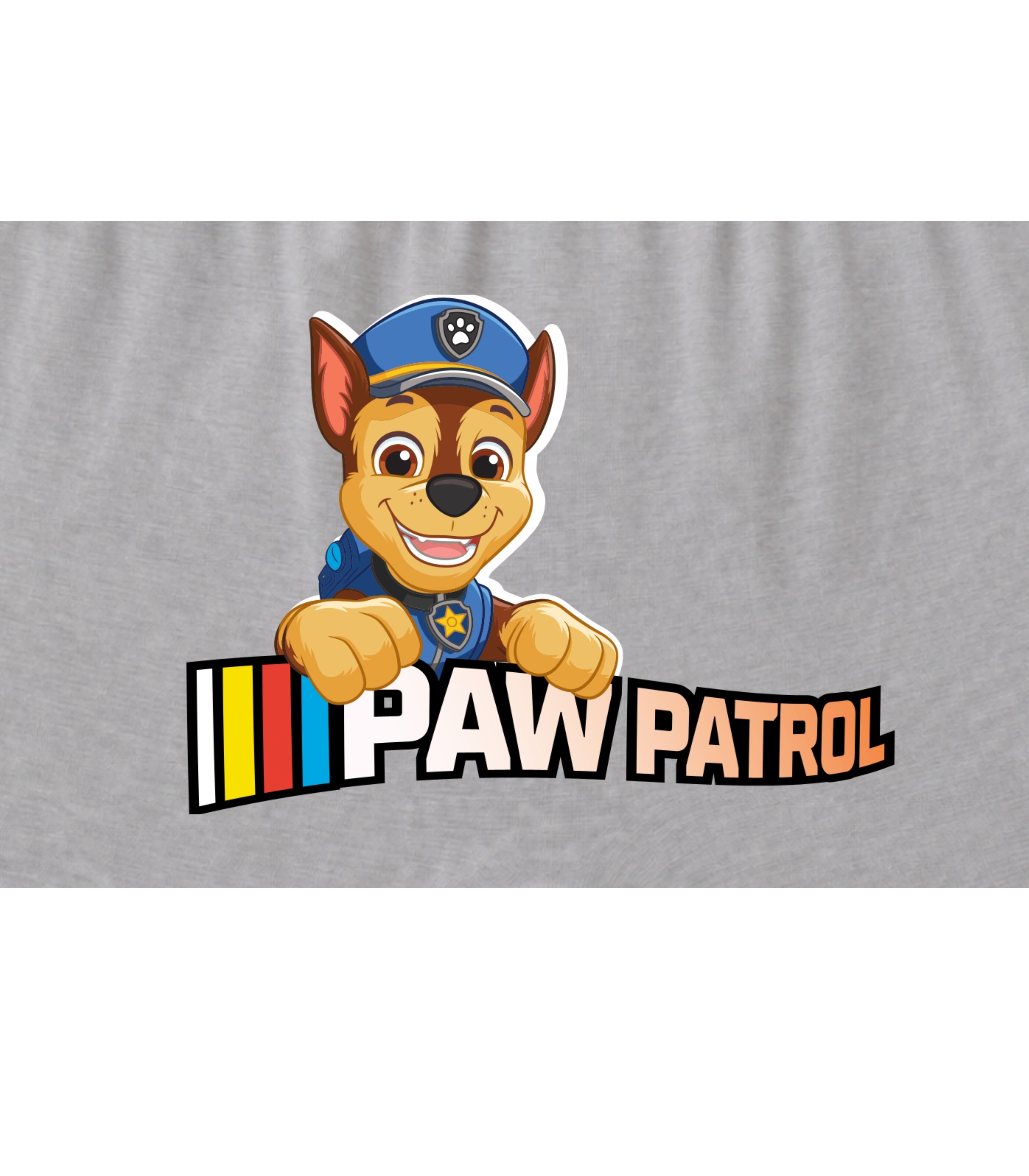 Grey Paw Patrol Chase Adventure Boys Trunks