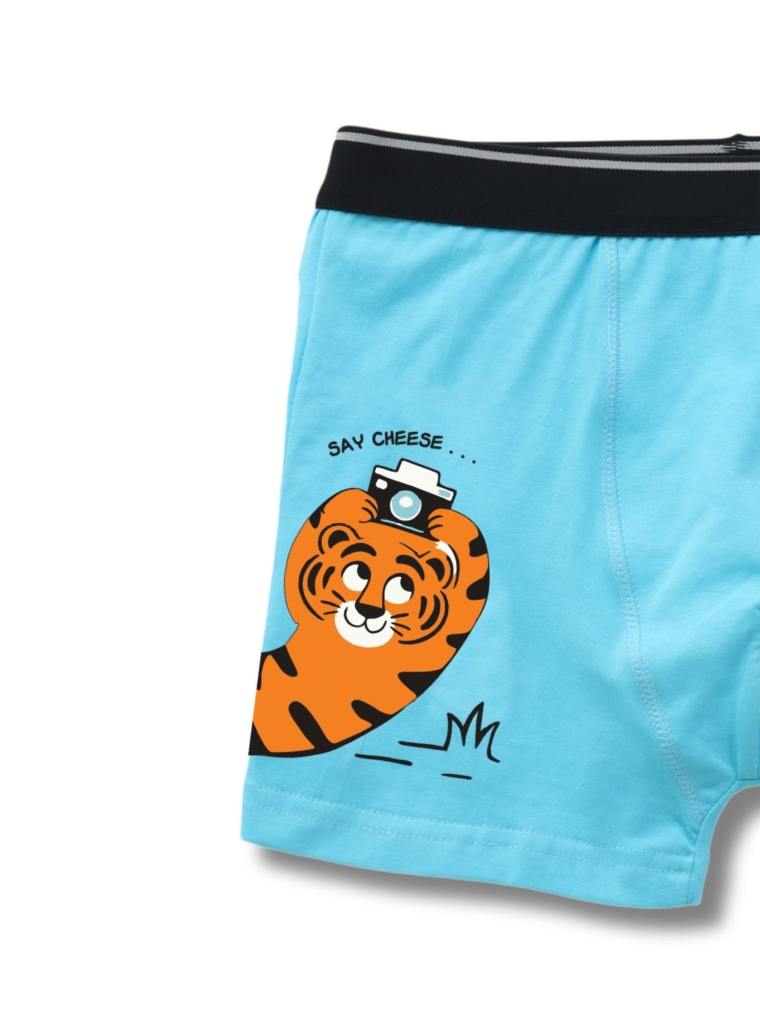 Sky Blue Cute Tiger Taking Selfie Boys Trunks