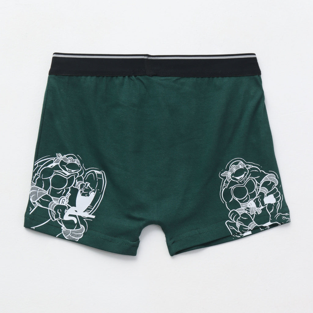 Teenage_Mutant_Ninja_Turtles_Print_Kids_Boys_Trunks
