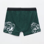 Teenage_Mutant_Ninja_Turtles_Print_Kids_Boys_Trunks