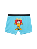 Garfield Hugging Teddy Love Action  Kids Trunks