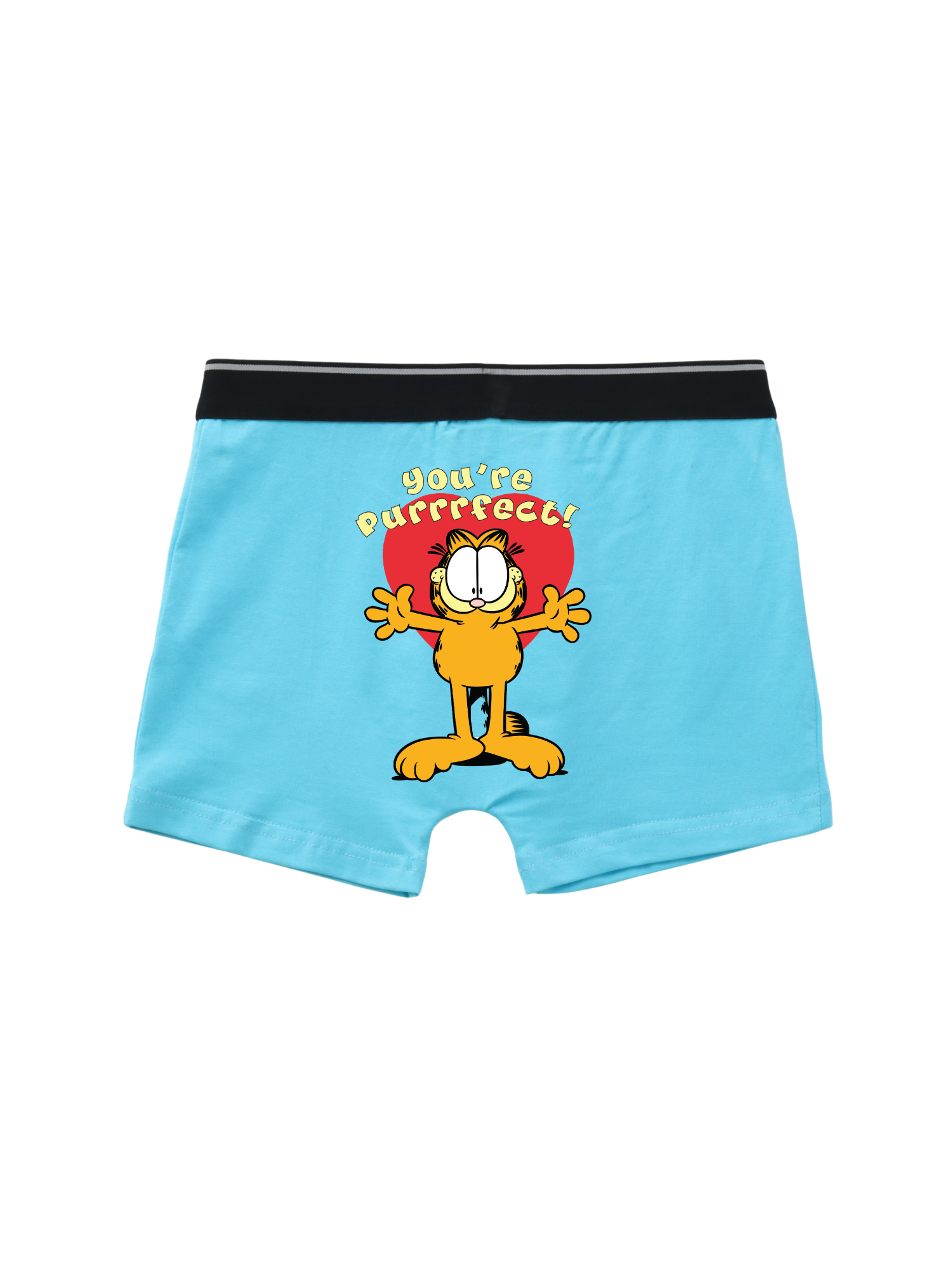 Garfield Hugging Teddy Love Action  Kids Trunks