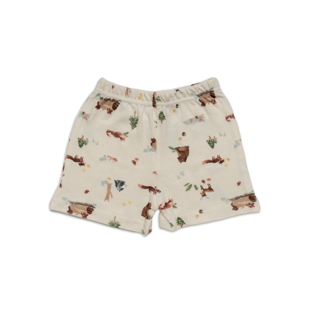 bear printed cotton baby shorts set