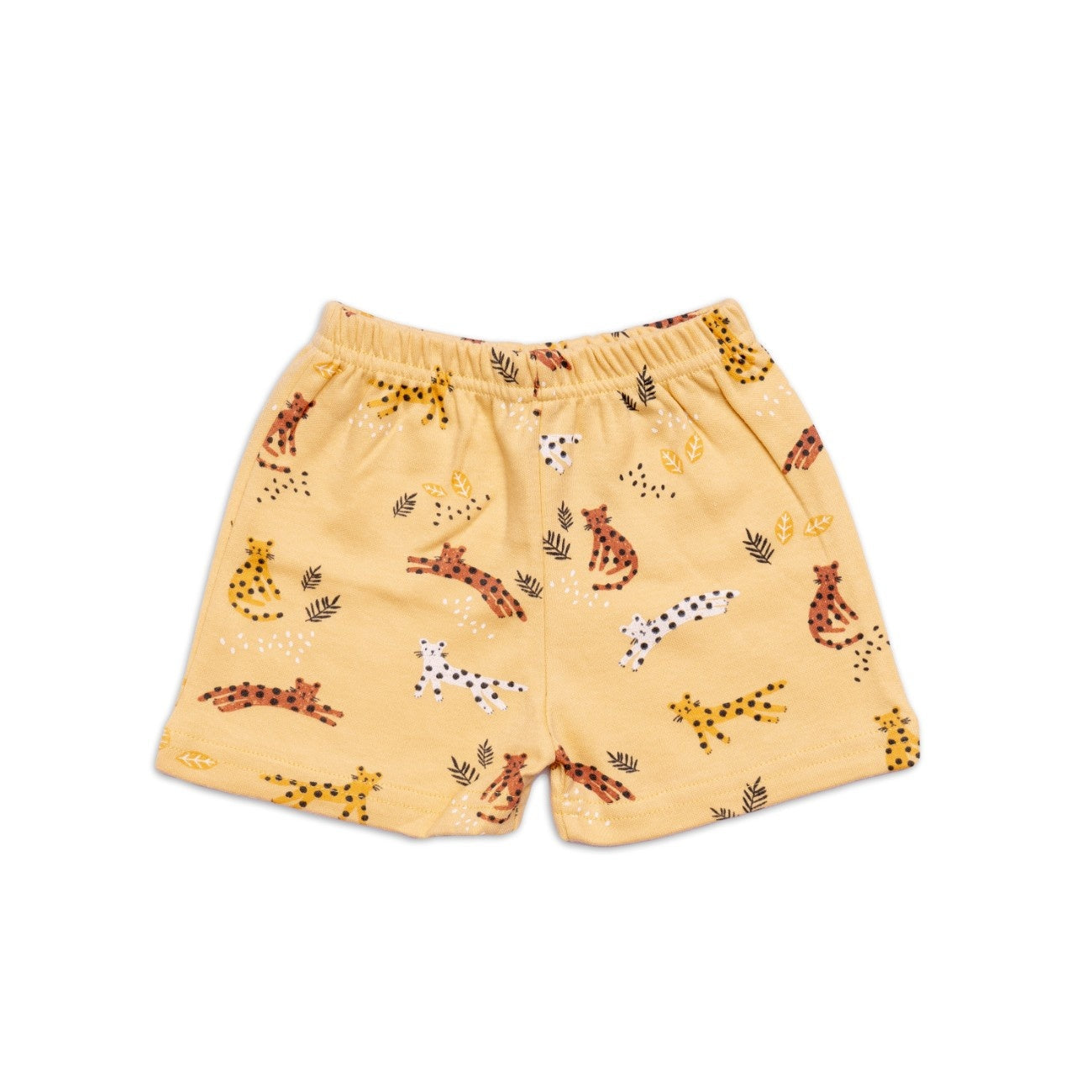 cheetah printed cotton baby shorts set