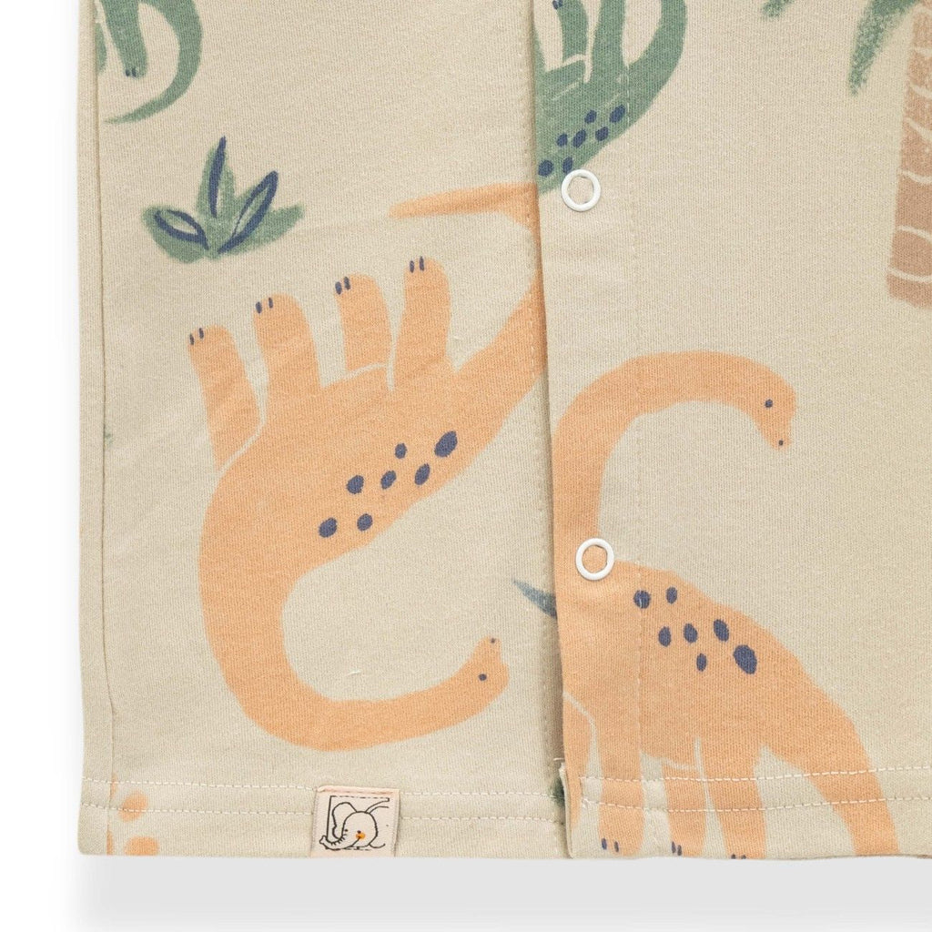 dino family printed cute baby clothing set closeup