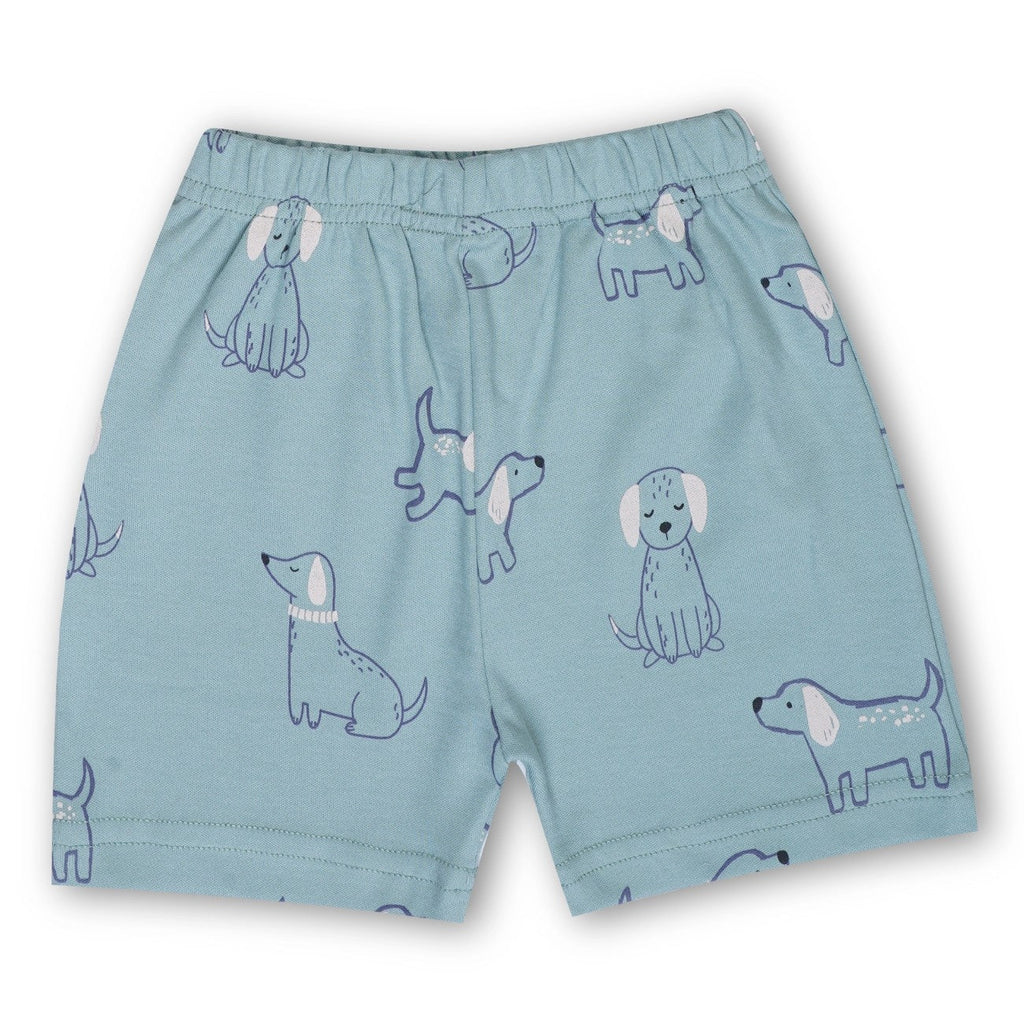 dogs printed green kids wear set shorts