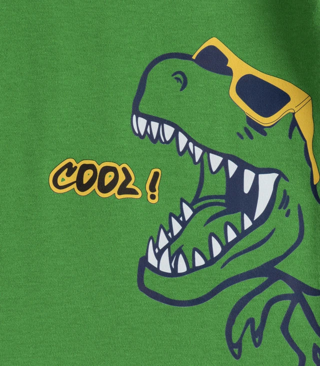 dino printed green kids clothing set closeup